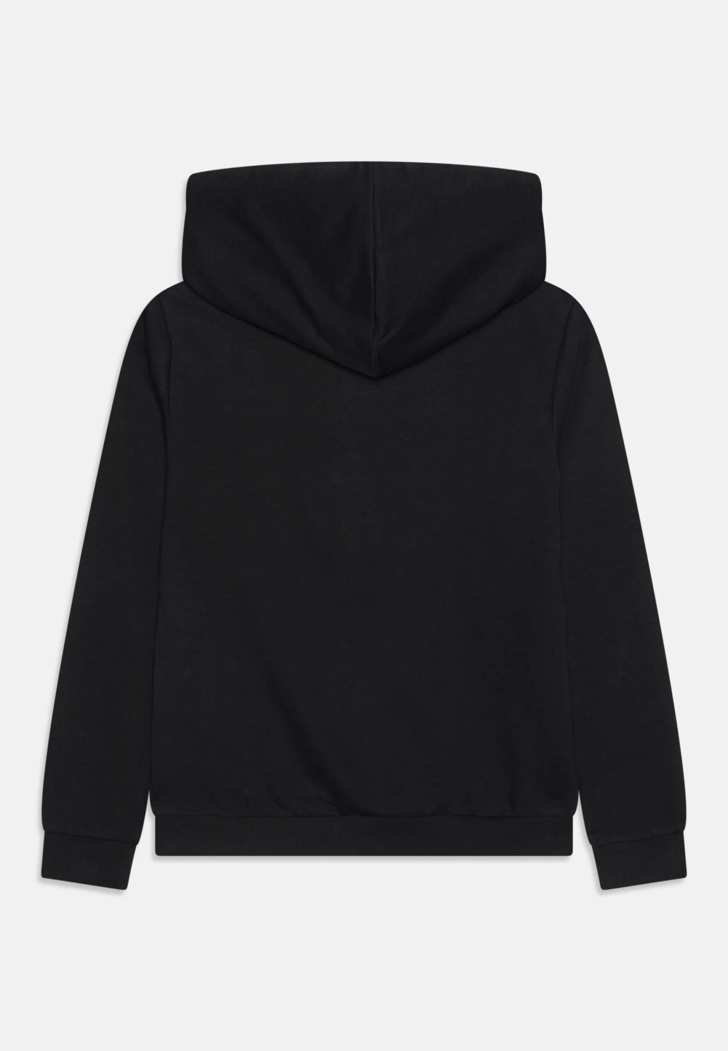 NAME IT Nkfjordi Jurassic Unisex - Sweat À Capuche - Black 4 NAME IT Nkfjordi Jurassic Unisex - Sweat À Capuche - Black - Image 2