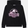 NAME IT Nkfjordi Jurassic Unisex - Sweat À Capuche - Black -Anna Field Soldes 78812414bf9643ed9ca852c04250a741